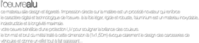 Votre oeuvre bénéficie d'une protection UV pour souligner la brillance des couleurs. Le ton mat et brut du métal traité à cette dimension (1x1,50m) évoque clairement le design des carosseries de véhicules et donne un effet tout à fait saisissant.